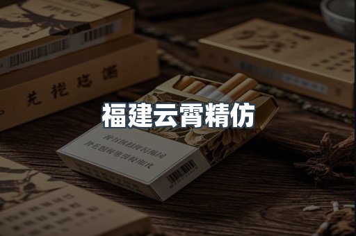 福建云霄精仿